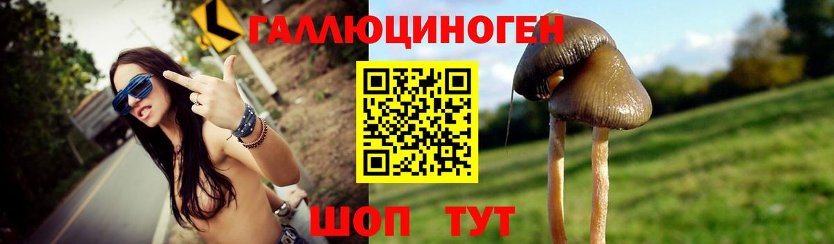 Псилоцибиновые грибы Psilocybine cubensis  Вход с VPN  Псилоцибиновые грибы Cubensis  Кыштым 